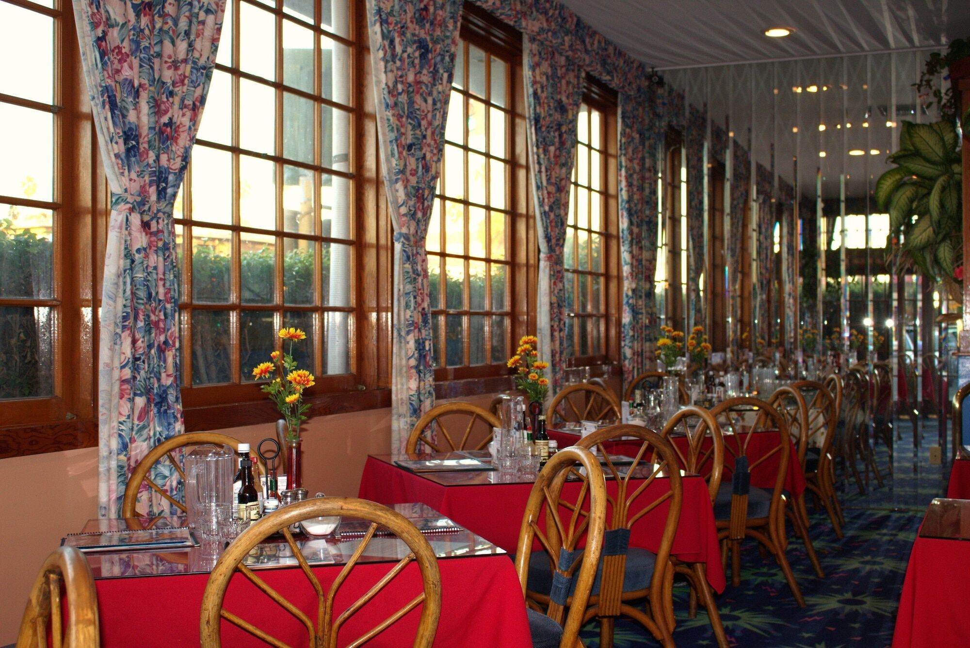 Hotel La Adventurer